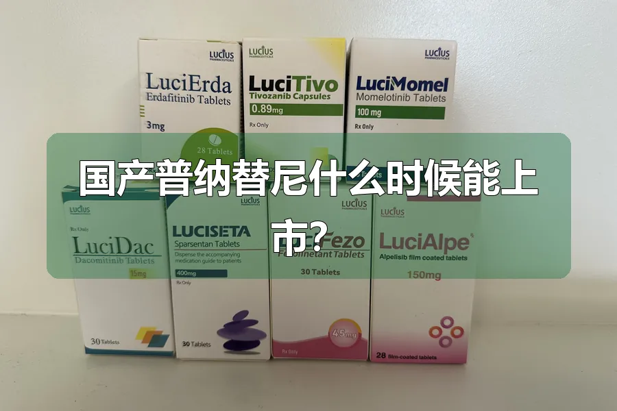 国产普纳替尼什么时候能上市？